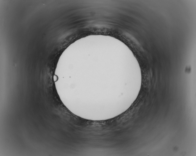 X0000101411013200808041059