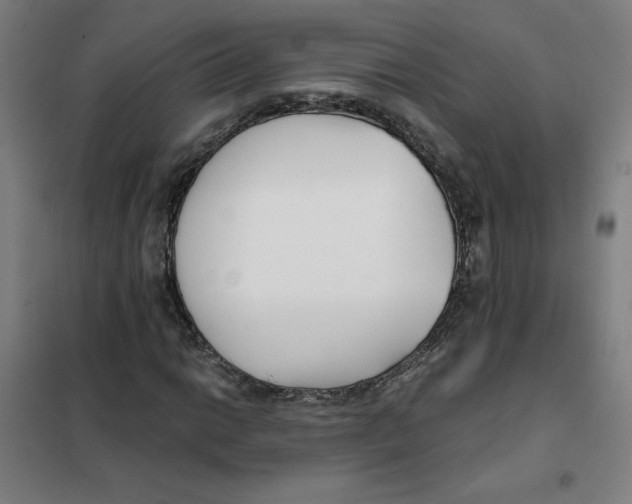 X0000101411014200808041059