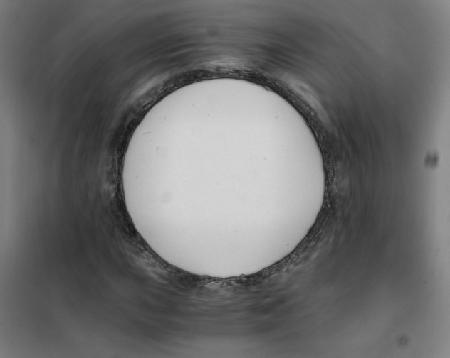 X0000101411015200808041059