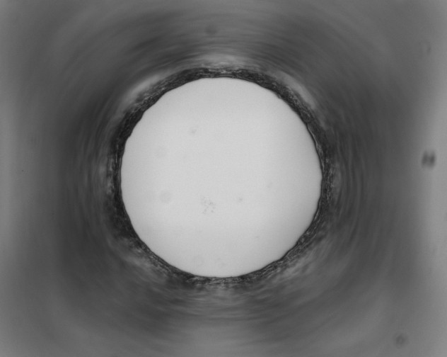 X0000101411016200808041059