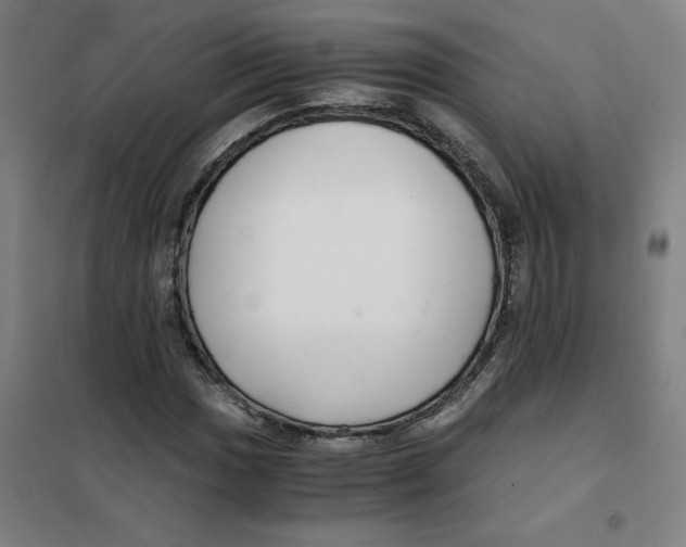 X0000101411017200808041059