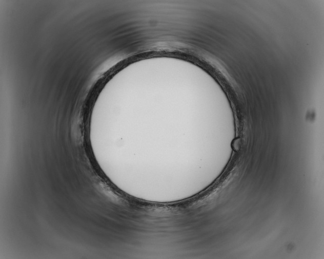X0000101411018200808041059