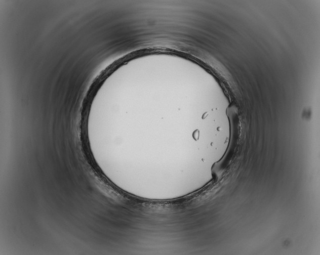 X0000101411020200808041059