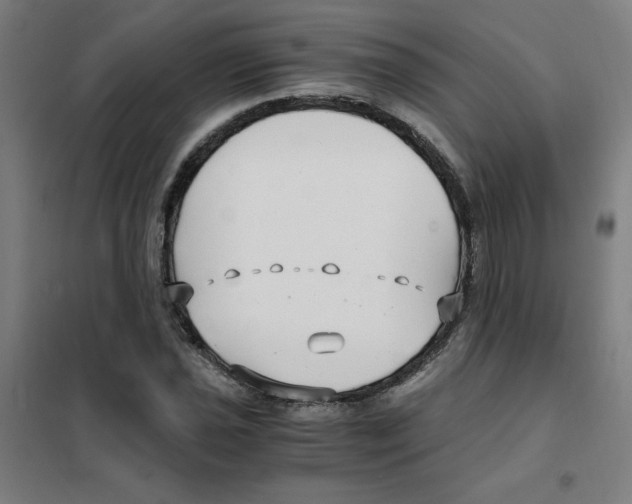 X0000101411021200808041059