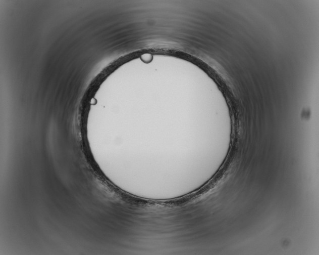 X0000101411022200808041059