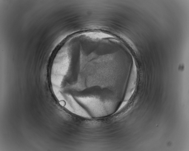 X0000101411023200808041059