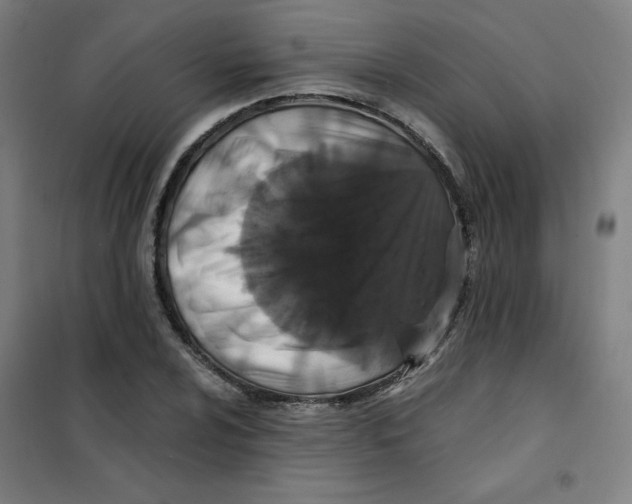 X0000101411024200808041059