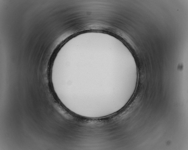 X0000101411026200808041059