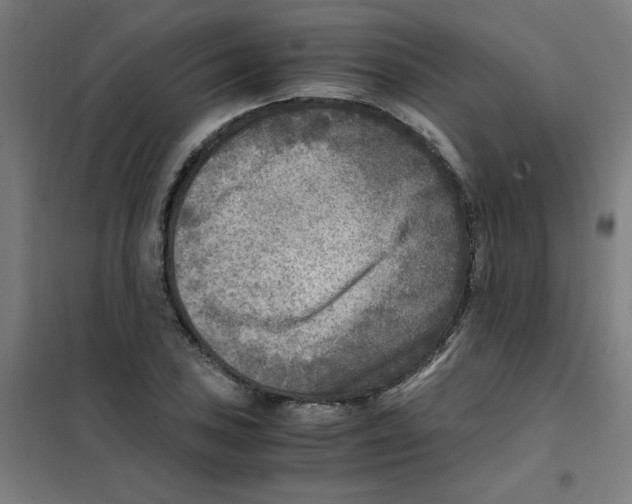 X0000101411027200808041059