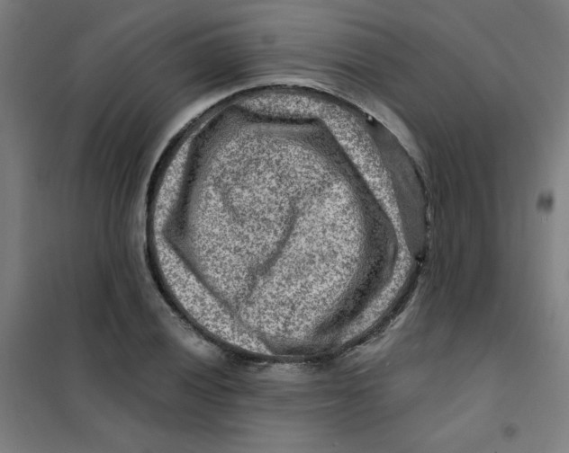 X0000101411028200808041059