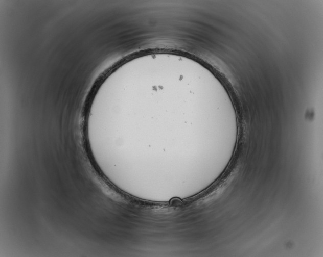 X0000101411029200808041059