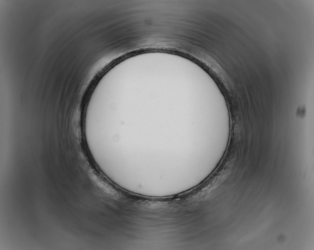 X0000101411030200808041059