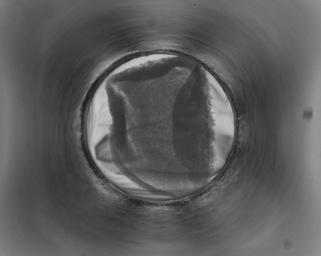 X0000101411031200808041059