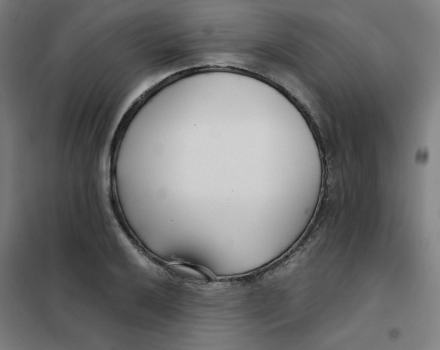 X0000101411032200808041059