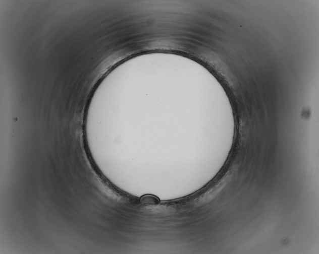X0000101411033200808041059