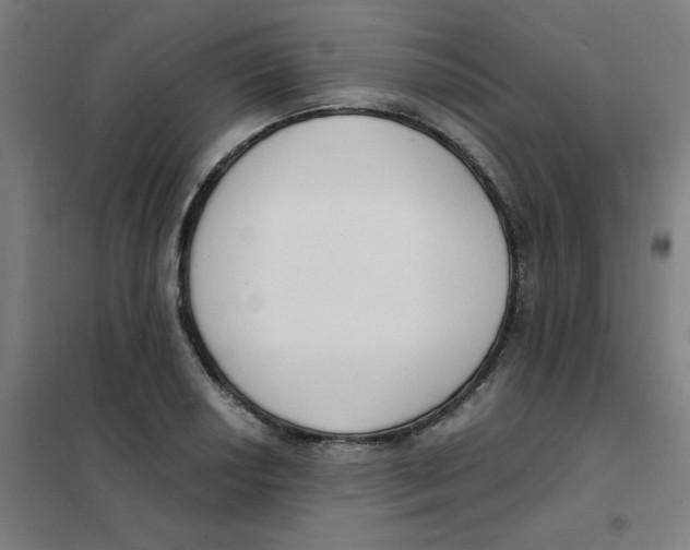 X0000101411034200808041059