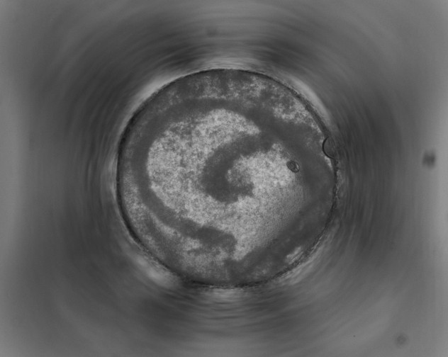 X0000101411035200808041059