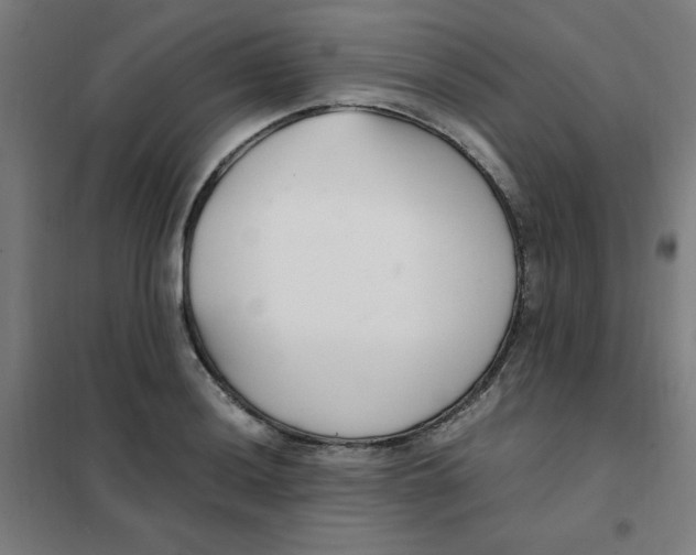 X0000101411036200808041059