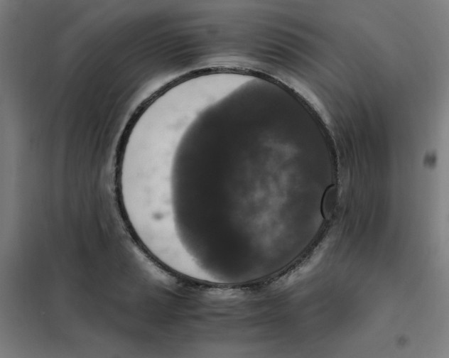 X0000101411037200808041059