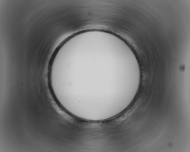 X0000101411038200808041059