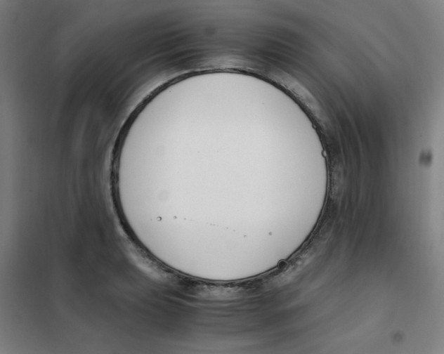 X0000101411039200808041059