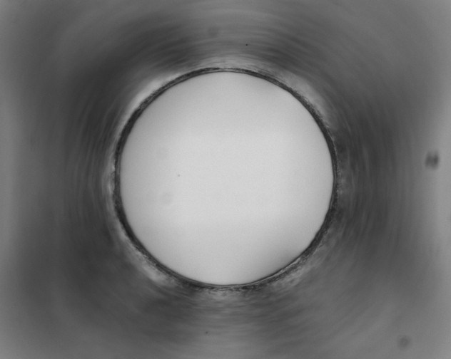 X0000101411040200808041059