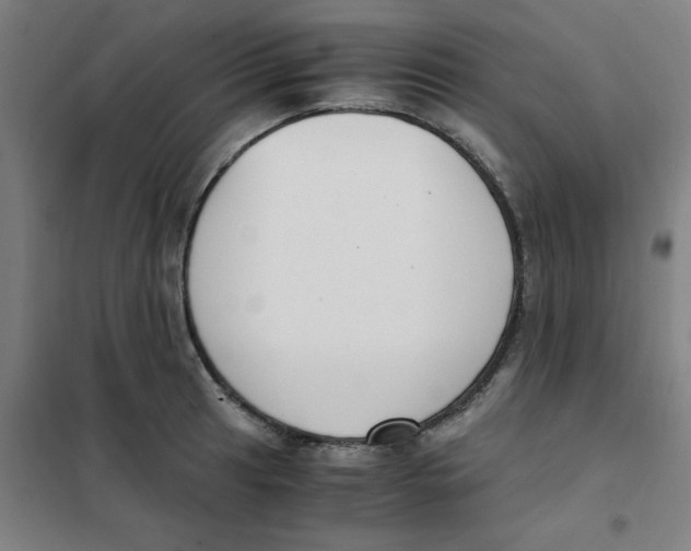 X0000101411041200808041059