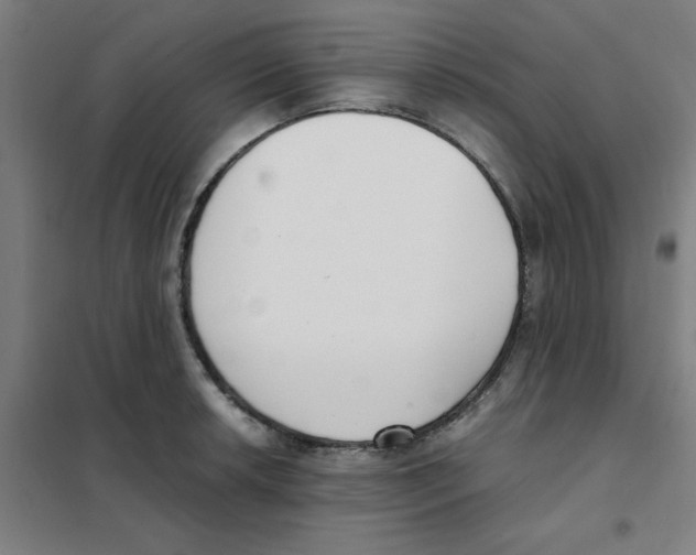 X0000101411042200808041059
