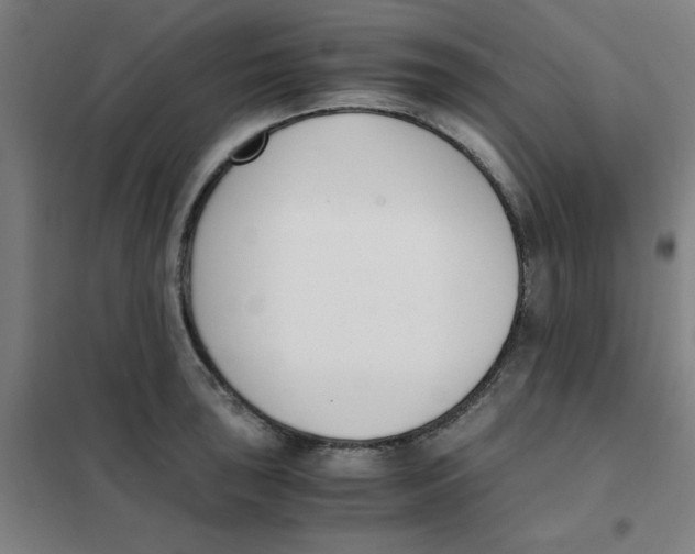 X0000101411043200808041059