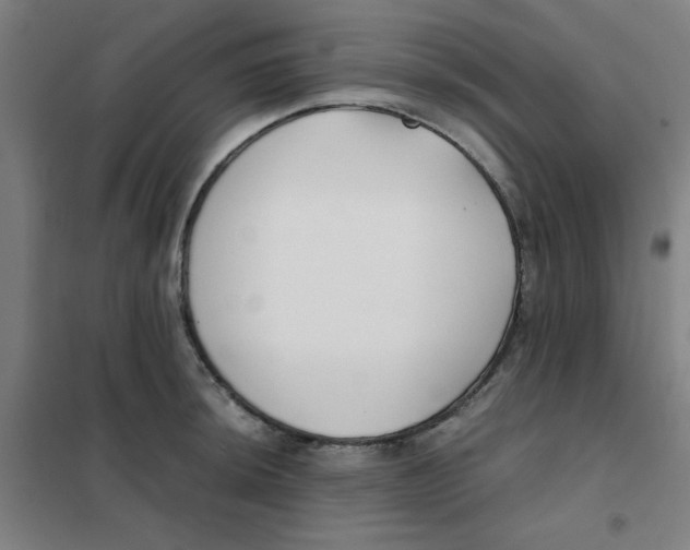 X0000101411044200808041059