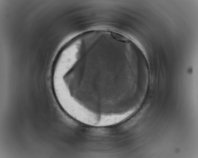 X0000101411045200808041059
