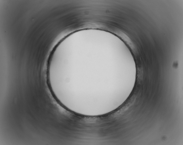 X0000101411046200808041059