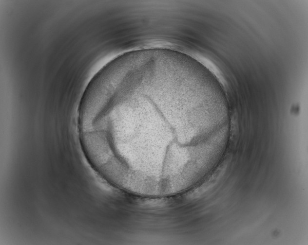 X0000101411047200808041059