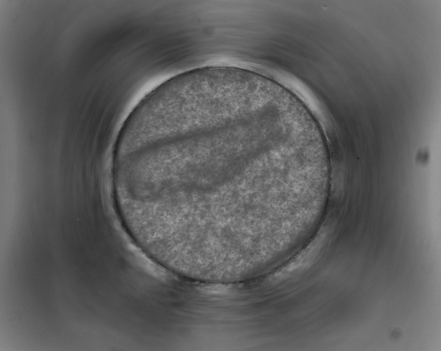 X0000101411048200808041059