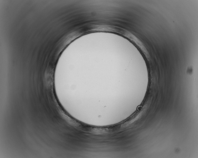 X0000101411049200808041059