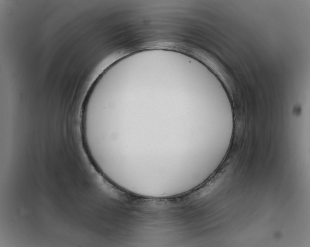 X0000101411050200808041059