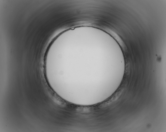 X0000101411051200808041059