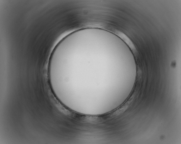 X0000101411052200808041059