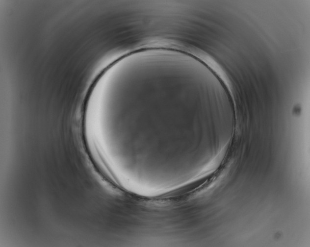 X0000101411053200808041100