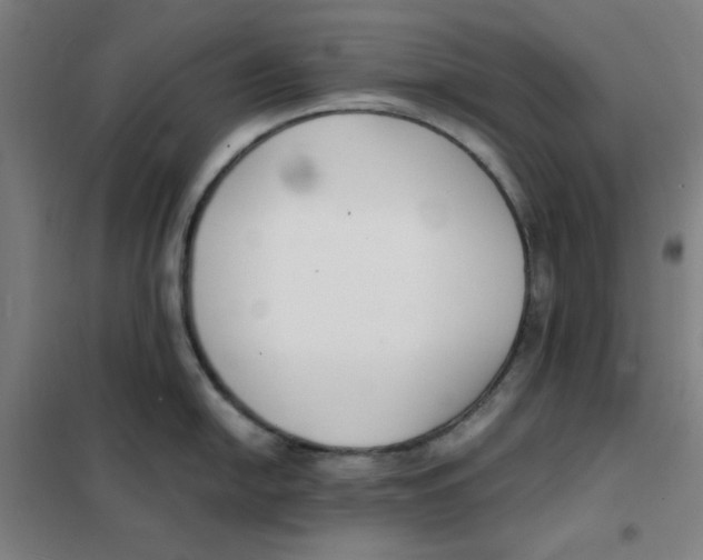 X0000101411054200808041100