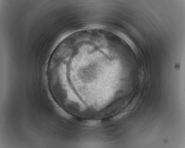 X0000101411055200808041100