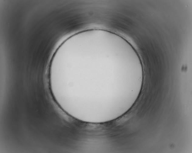 X0000101411056200808041100