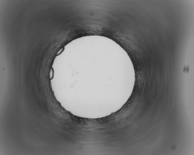 X0000101411057200808041059