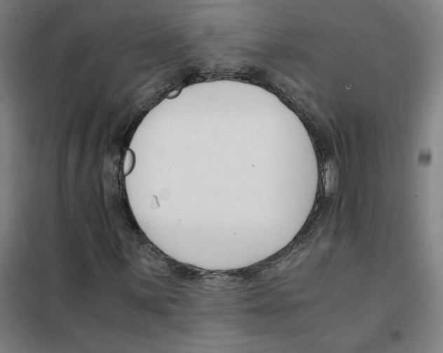 X0000101411059200808041059