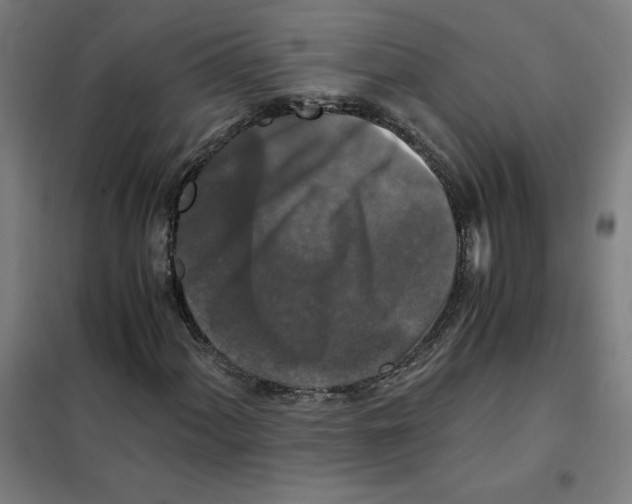 X0000101411060200808041059