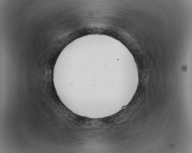 X0000101411061200808041059