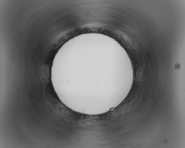 X0000101411062200808041059