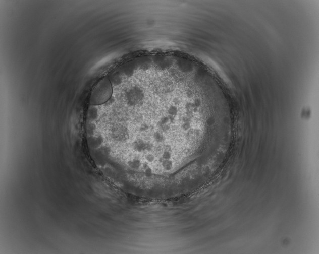 X0000101411063200808041059
