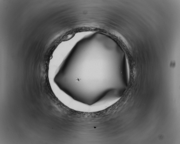 X0000101411064200808041059