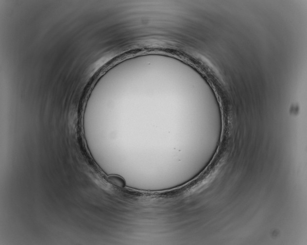 X0000101411065200808041059